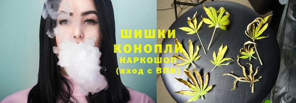бошки Белокуриха