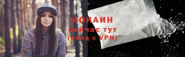 бошки Белокуриха