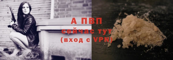 бошки Белокуриха