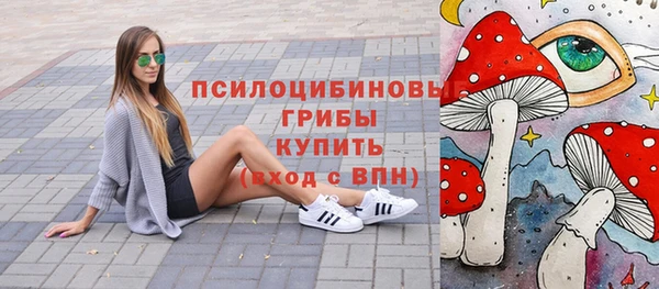бошки Белокуриха