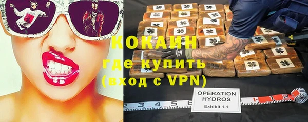 бошки Белокуриха