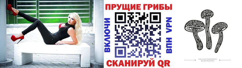 Галлюциногенные грибы мицелий МЕГА зеркало Бородино дарнет шоп